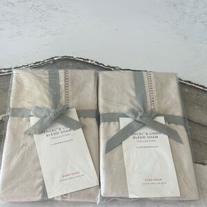 NWT Anthropologie Tencel and linen blend Euro Shams